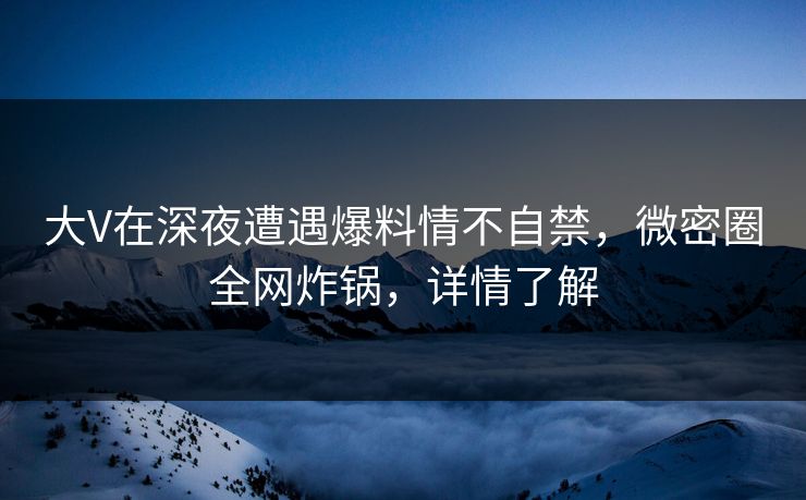 大V在深夜遭遇爆料情不自禁，微密圈全网炸锅，详情了解