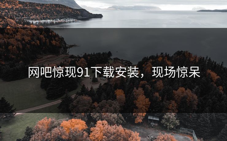 网吧惊现91下载安装，现场惊呆