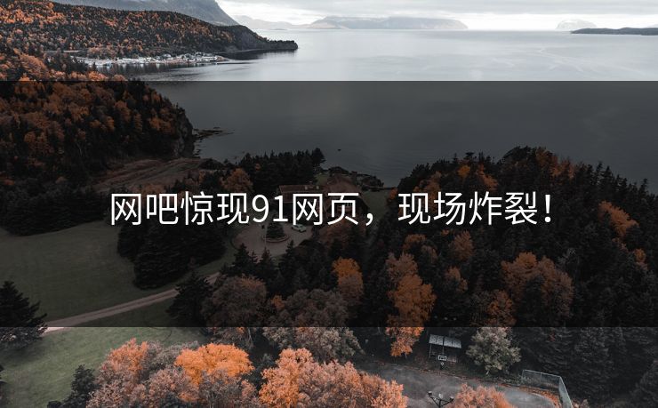 网吧惊现91网页，现场炸裂！