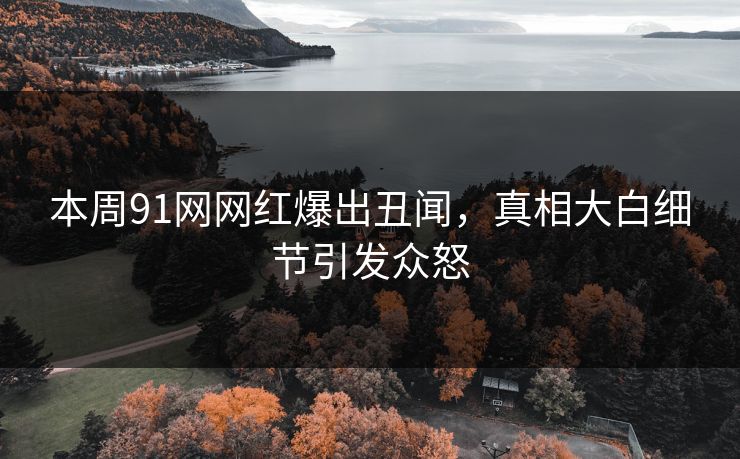 本周91网网红爆出丑闻，真相大白细节引发众怒