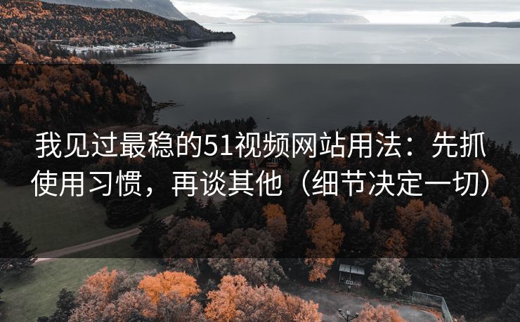 我见过最稳的51视频网站用法:先抓使用习惯,再谈其他(细节决定一切) 我见过最稳的51视频网站用法:先抓使用习惯,再谈其他(细节决定一切)